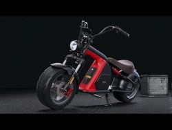  Rooder Runner Citycoco 2000 W